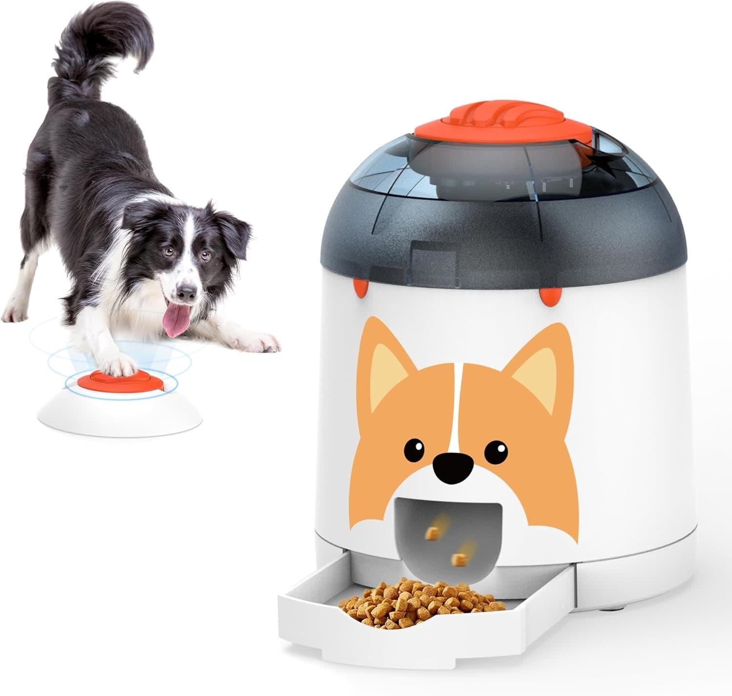 Interactive Puzzle Feeder — Amazon