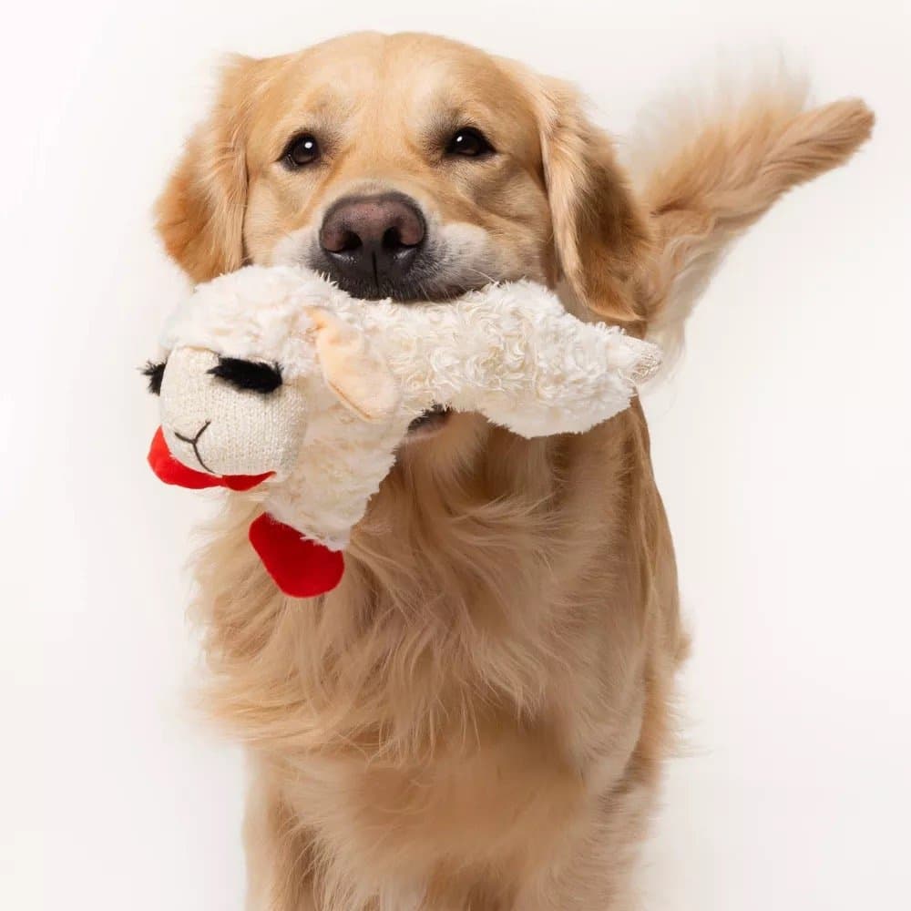 Lamp Chop Stuffed Toy — Target