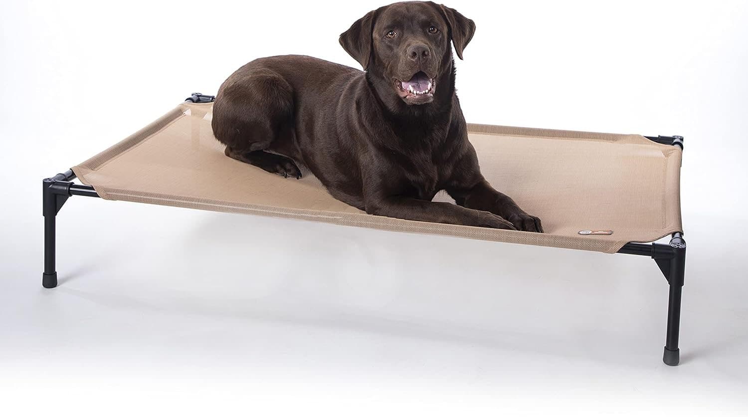 Elevated Dog Cot — Amazon