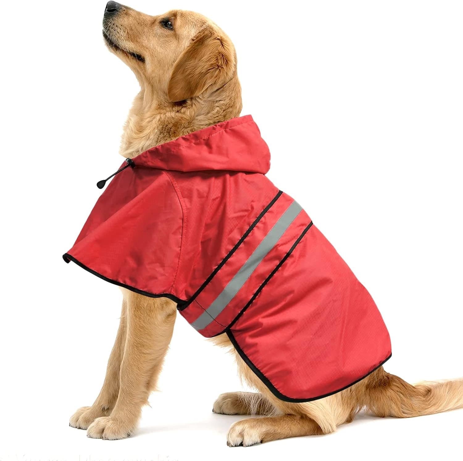 Dog Rain Jacket — Amazon