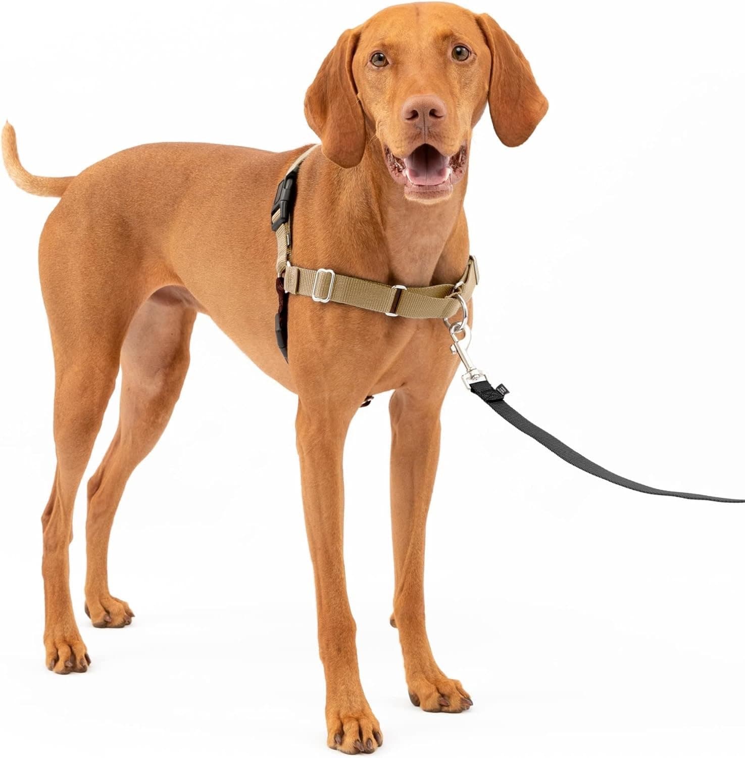 No Pull Dog Harness — Amazon