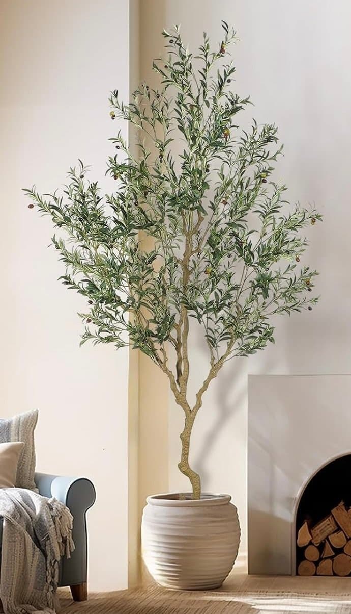 9’ Olive Tree — Amazon