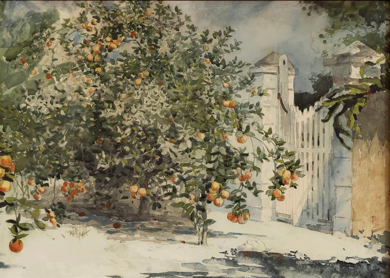 Orange Tree Watercolor Print — Etsy