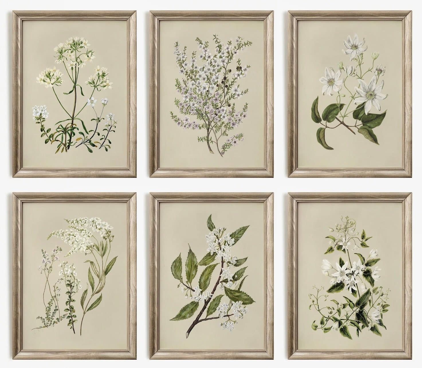 Botanical Print Set — Etsy